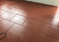 PHỦ BÓNG GẠCH TÀU